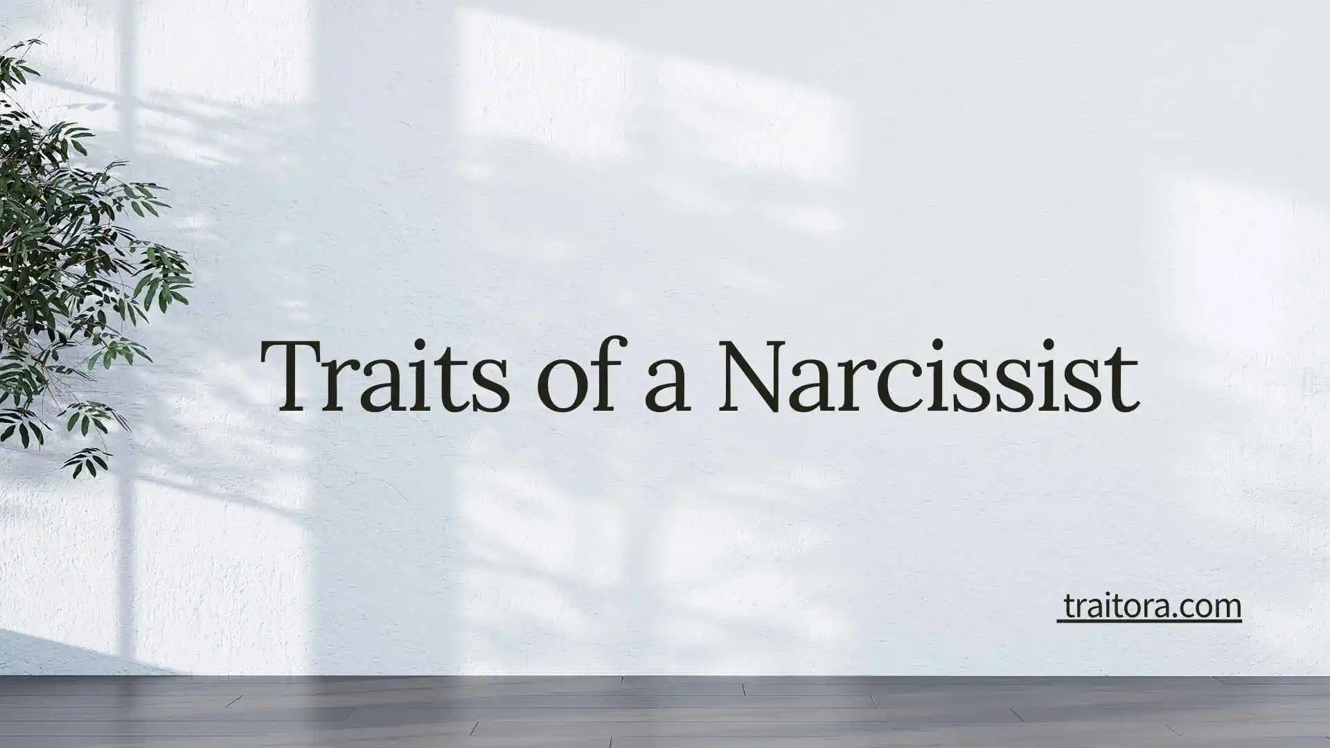 25+ Traits of a Narcissist: Signs, Behaviors, and What They Really Mean