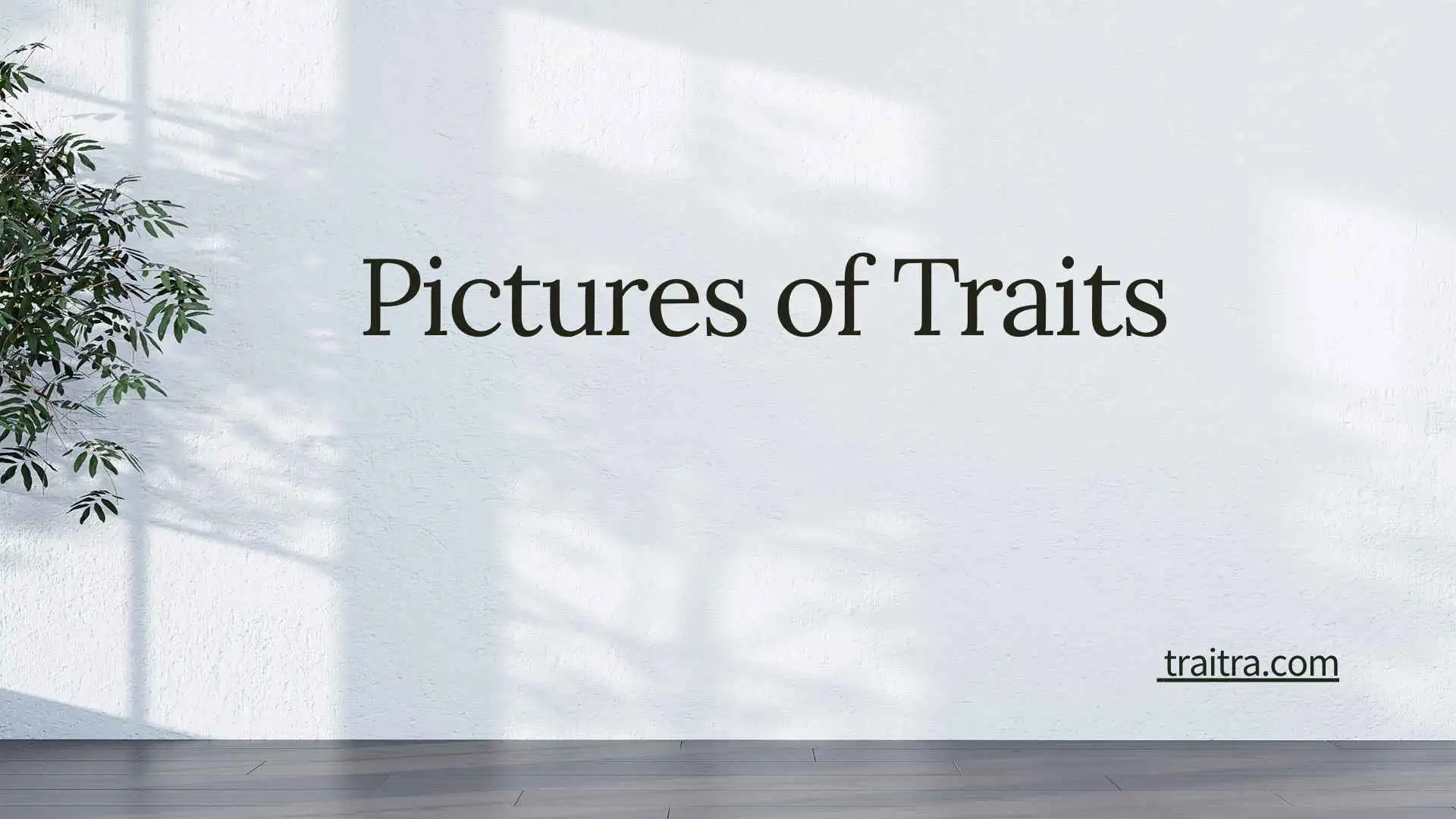 Pictures of Traits: Visual Examples of Character, Personality, Physical, and Behavioral Traits